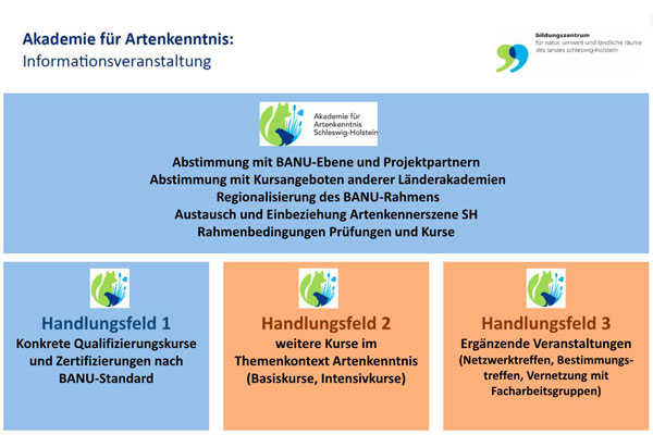 Akademie-Artenkenntnis-Handlungsfelder