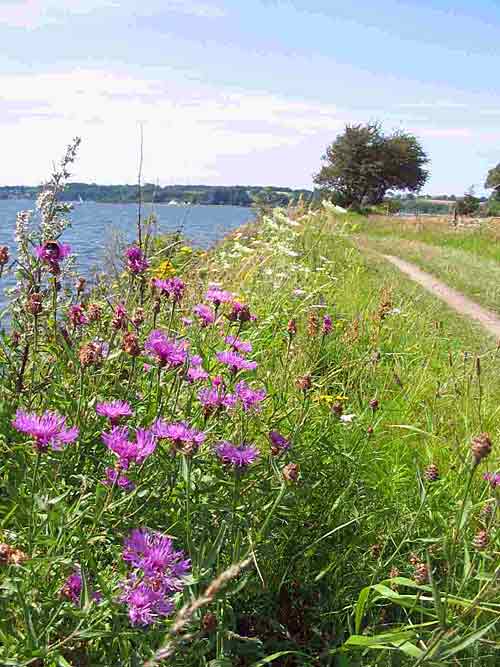 Flensburg Foerde