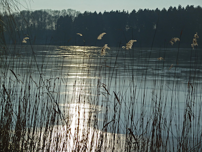 Herrenteich-Reinfeld