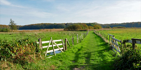 Wanderweg-Ahrensee