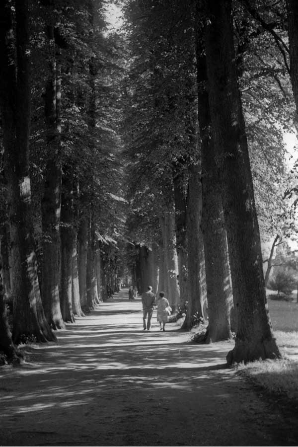 Lindenallee-Schlosspark-Eutin-1970  	Magnussen, Friedrich