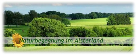 Logo-Alsterland