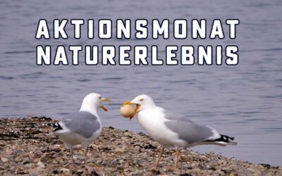 Aktionsmonat Naturerlebnis Mai 2022