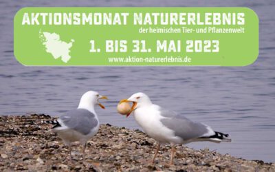 Aktionsmonat Naturerlebnis Mai 2023