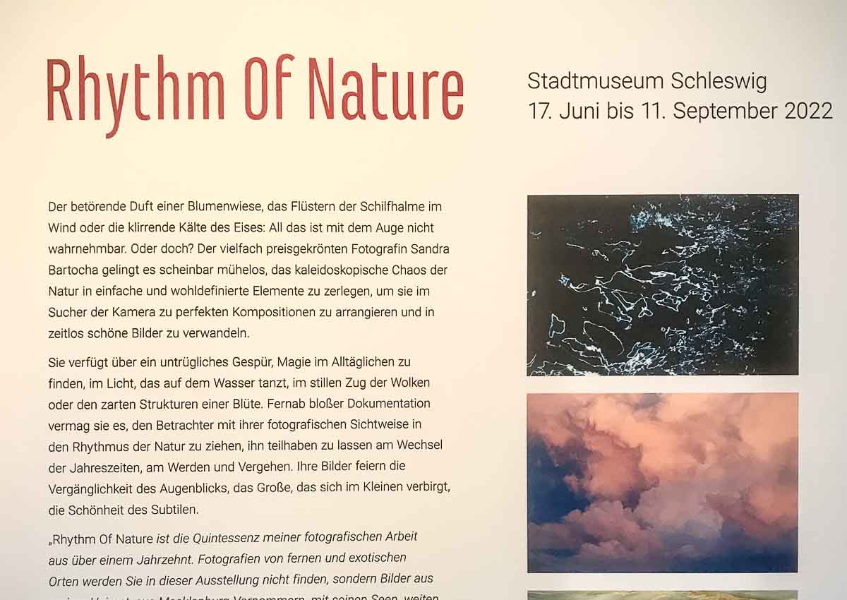 Rythm Of Nature - Sandra Bartocha - Stadtmuseum Schleswig