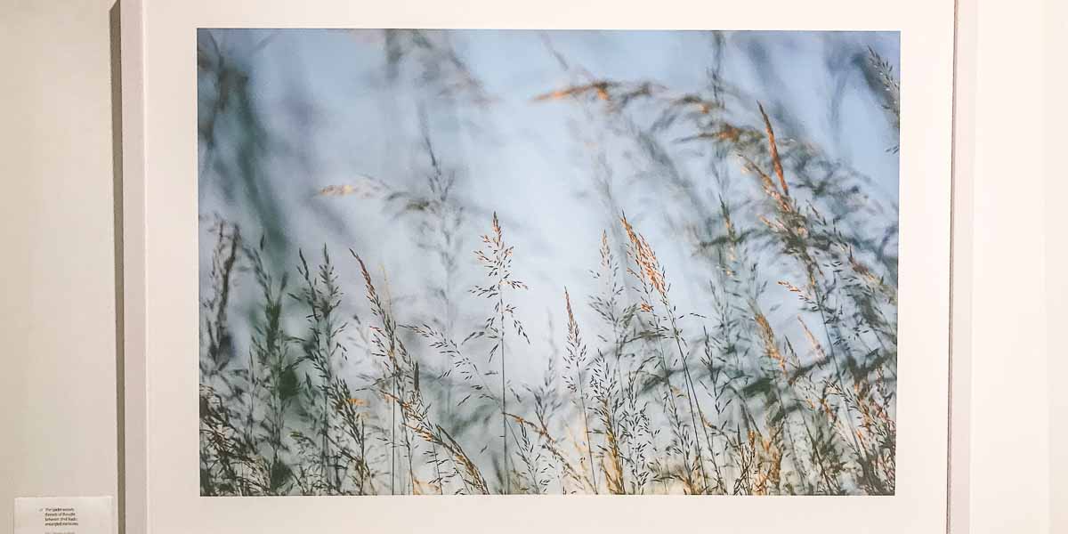 Visuelle Musik auf der Wiese