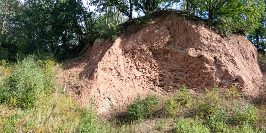 Rote Felswand in der Liether Kalkgrube - Rotliegendes