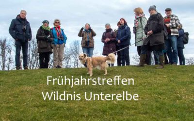 NaturführerInnen in Wildnis Unterelbe