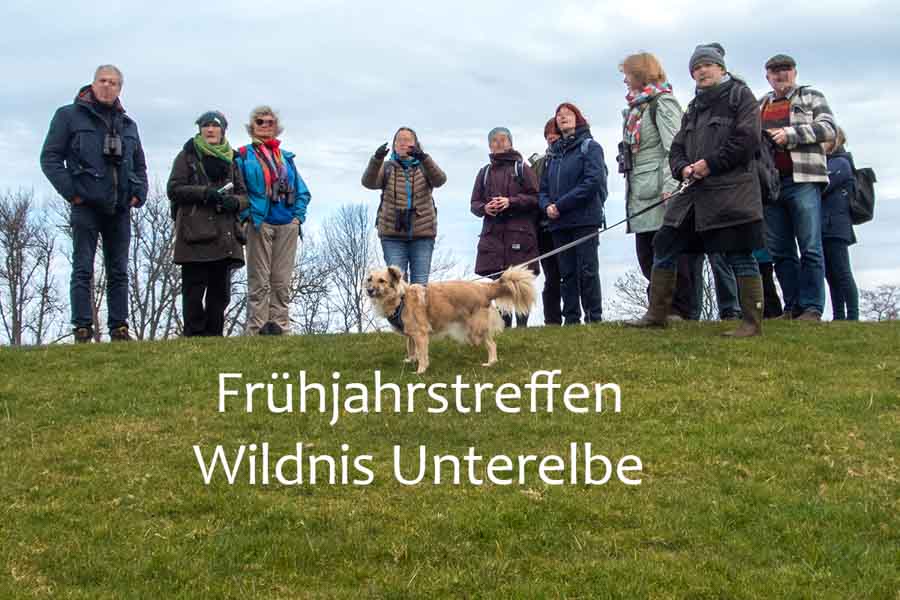 NaturführerInnen in Wildnis Unterelbe