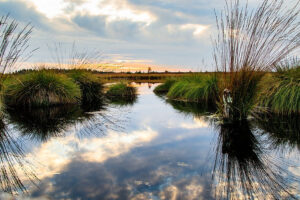 Große Moor bei Dätgen