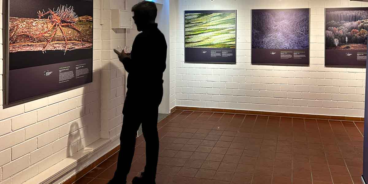 Europäischer Naturfotograf des Jahres, Ausstellung andere Tiere, Schleswig Stadtmuseum