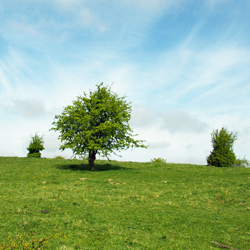 Landschaft am Winderatter See