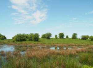 Teich am Winderatter See