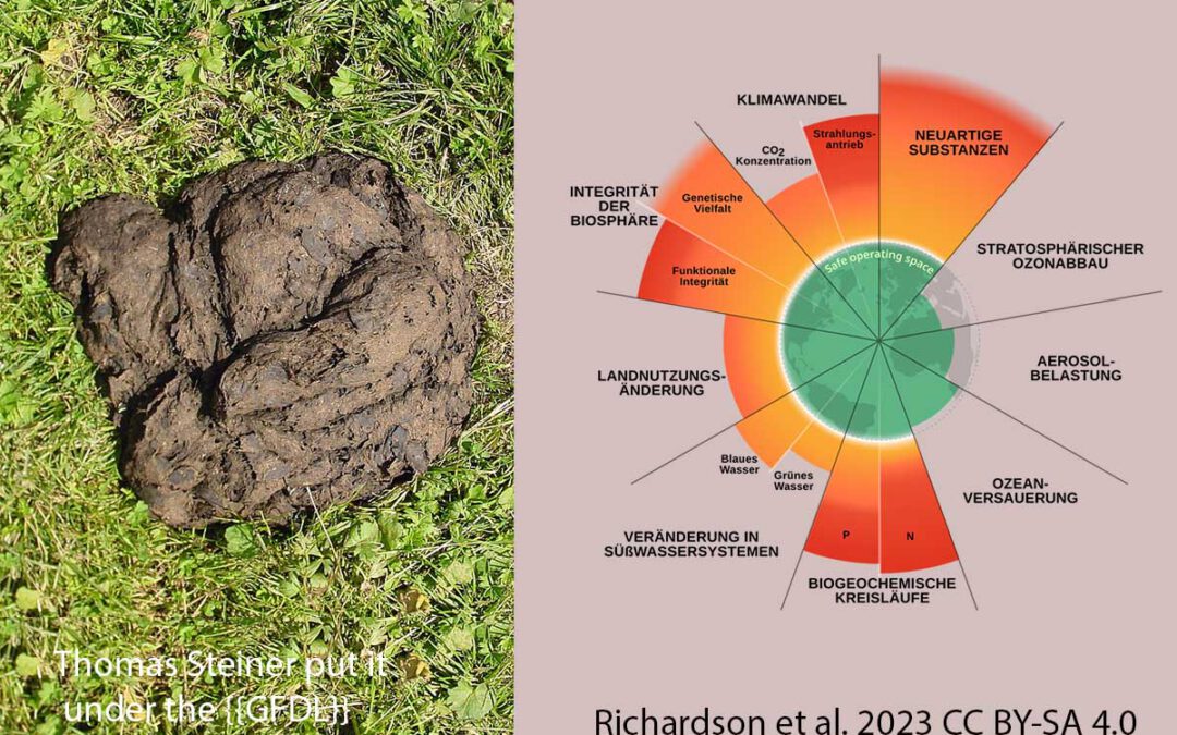 Bedeutung des Kuhfladens für die Biodiversität