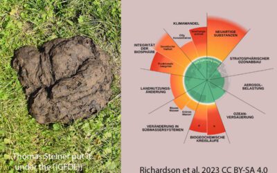 Bedeutung des Kuhfladens für die Biodiversität