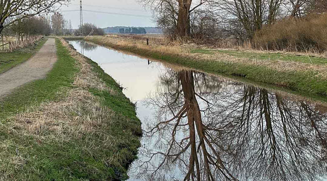 Von Flussbegradigung und den Mäandern beim Sprechen