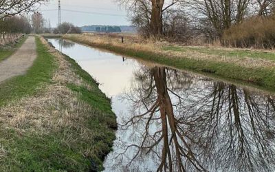 Von Flussbegradigung und den Mäandern beim Sprechen