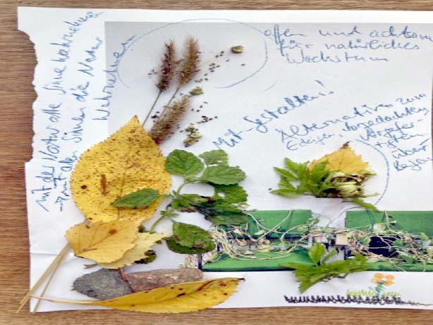 Kita-Naturbotschafterin