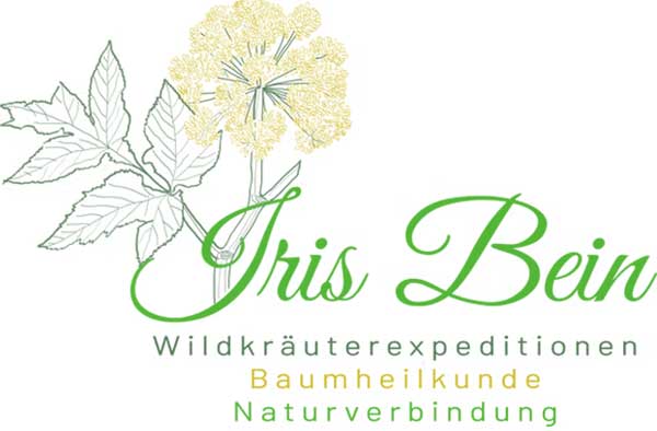 Logo-Iris-Bein-neu Logo-Iris-Bein